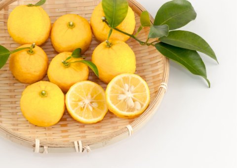 転地養蜂家・近藤さんの国産はちみつをつかったかぼすとゆずのはちみつドリンクセット (98006)