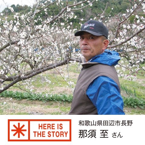 和歌山県産・那須さんの有機南高梅干20粒(39002)