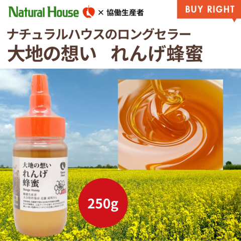 れんげ蜂蜜250g