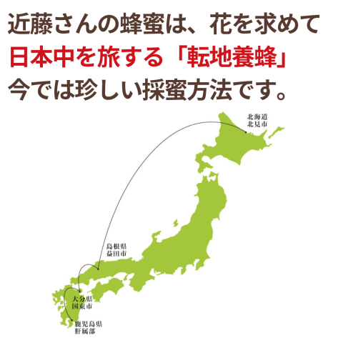 れんげ蜂蜜250g
