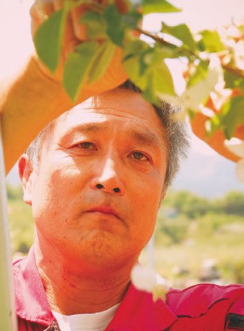 平井さんの葉とらずりんご5kg(68002)