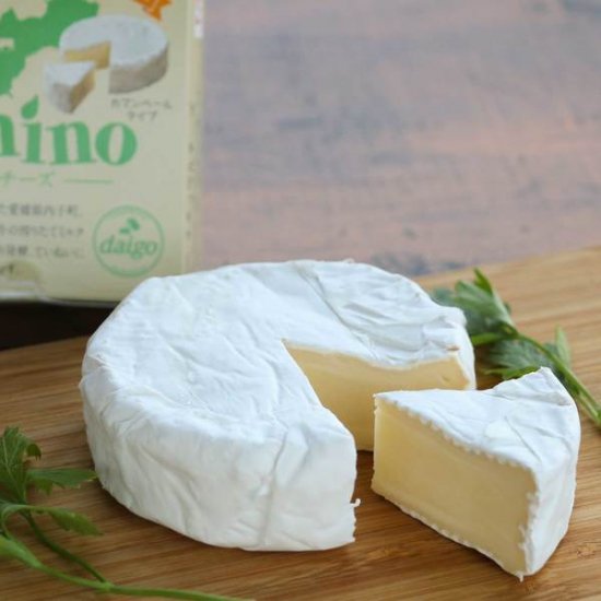 【冷蔵】醍醐 トミーノ カマンベールタイプ