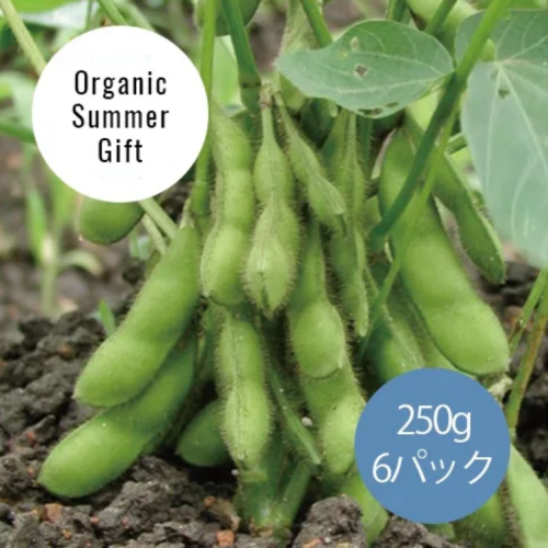 【今季終了】【冷蔵】山形県産 有機だだ茶豆6パック(98011)