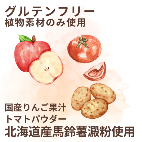 Earth's Feelings Rice Flour Curry Roux (Mild)