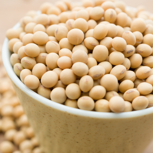 200g organic white soybeans