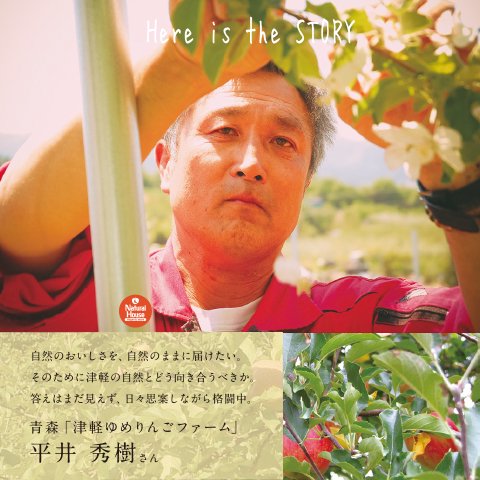 Hirai's additive-free apple juice 1L (3 bottles assortment) (98008)