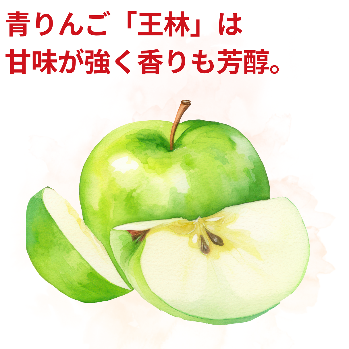 Hirai's additive-free apple juice 1L (3 bottles assortment) (98008)