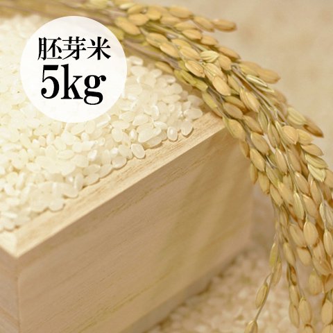 【次回入荷2025年秋】群馬県・金井さんの有機栽培こしひかり胚芽米5kg