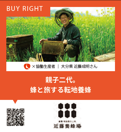 Kondo's Japanese Honey Rice Flour Castella Set (93027)