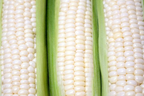 【今季終了】【冷蔵】兵庫県産・神鍋高原のアイスクリームコーン(93001)