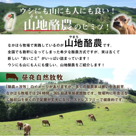【冷蔵】中洞牧場 グラスフェッド牛乳130ml(木のみ入荷)
