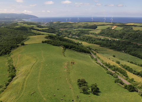 【冷蔵】CHEESEDOMのスカモルツァ【有機JAS認証取得】(金のみ入荷)