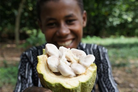 【冷蔵】ショコラマダガスカル ダークチョコレート85%(夏季期間のみ冷蔵発送)