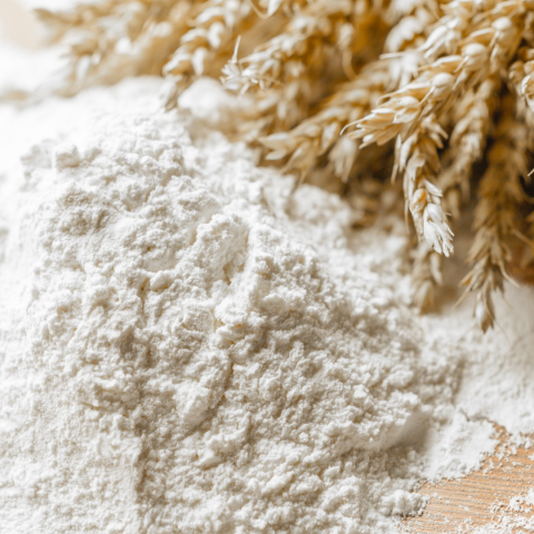 Hope Farm Tanba Organic Wheat Flour Yumeshiho Whole Wheat Flour