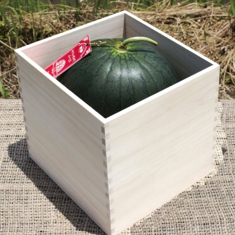 【今季終了】兵庫県産・神鍋高原のスイカ(93002)