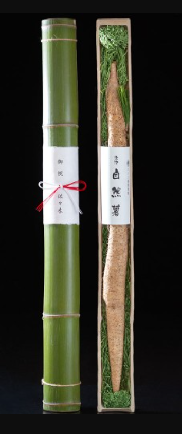 Organically grown wild yam from Sasaki Farm (D-6)