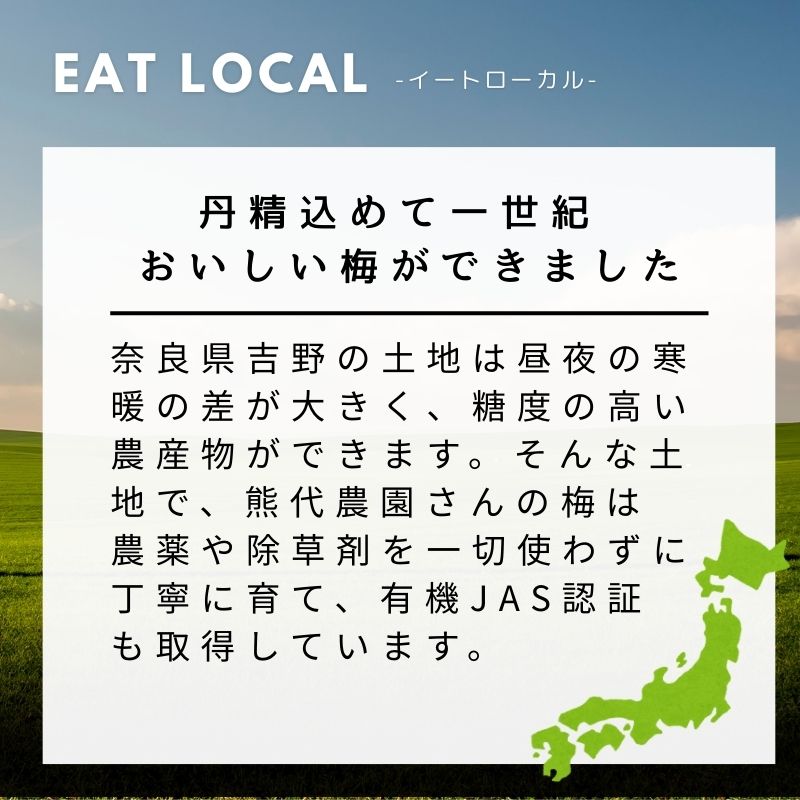 【受付締切 5/20まで】はじめての梅仕事セット 果実しっかり果汁が多い もぎたて有機 白加賀(梅ジュース・梅酒用)2㎏+氷砂糖(A-1)