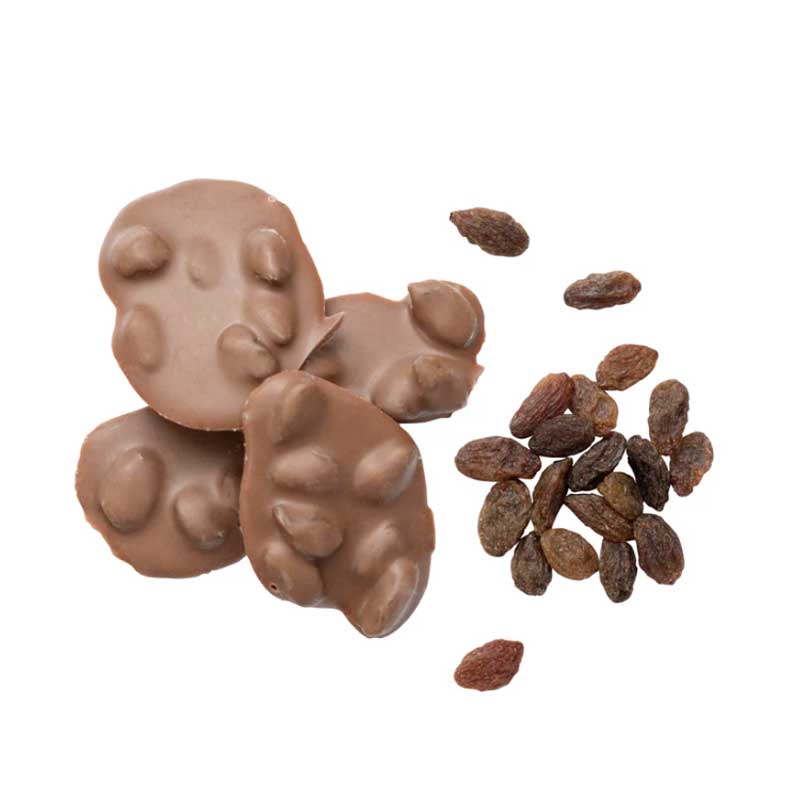 ヴァンヴリット オーガニックチョコバイツ(ミルク×レーズン)