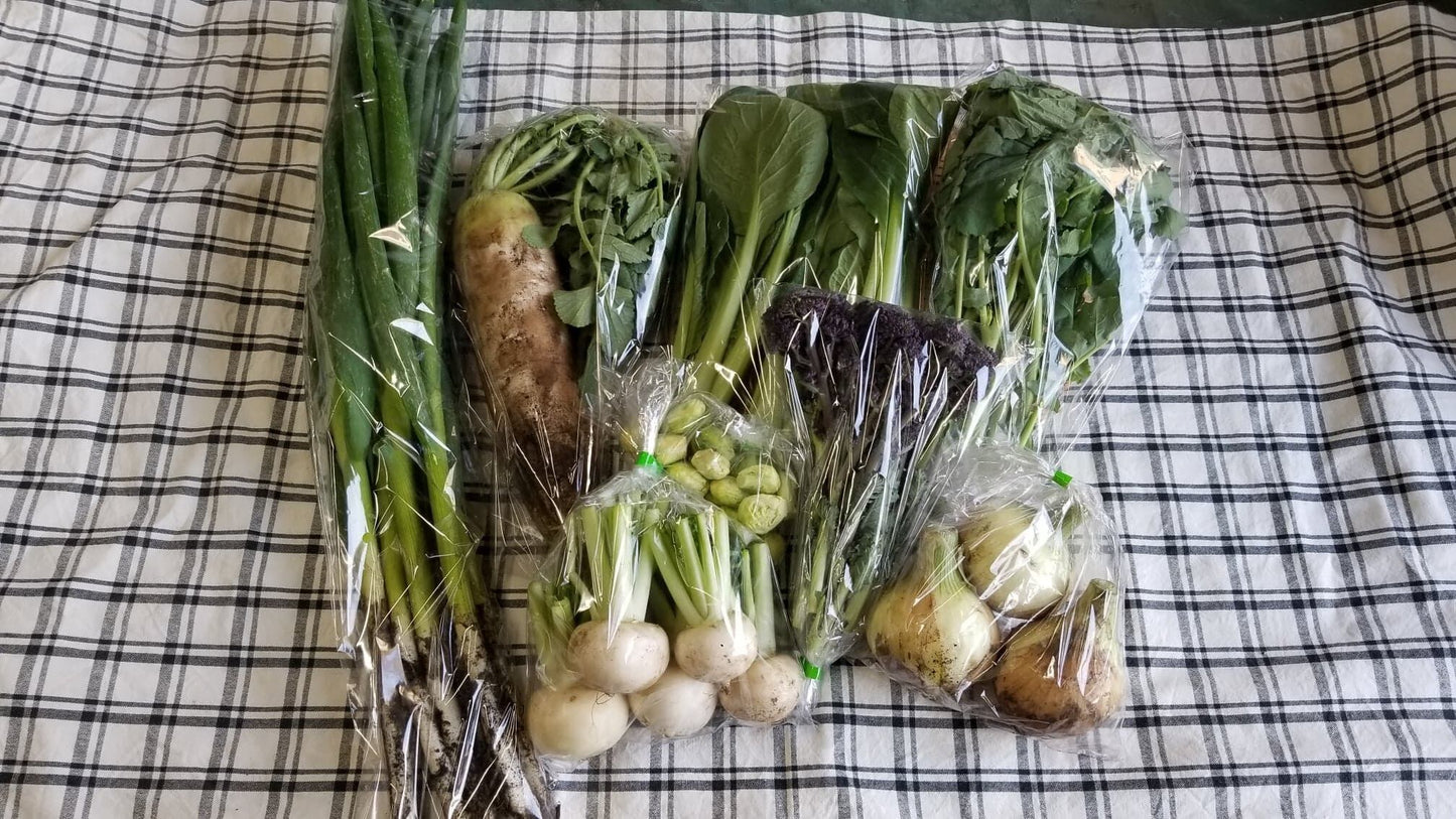 【毎週月曜締切→金曜発送便】神奈川県 NO-RA農楽の野菜箱 露地野菜を産直でお届け