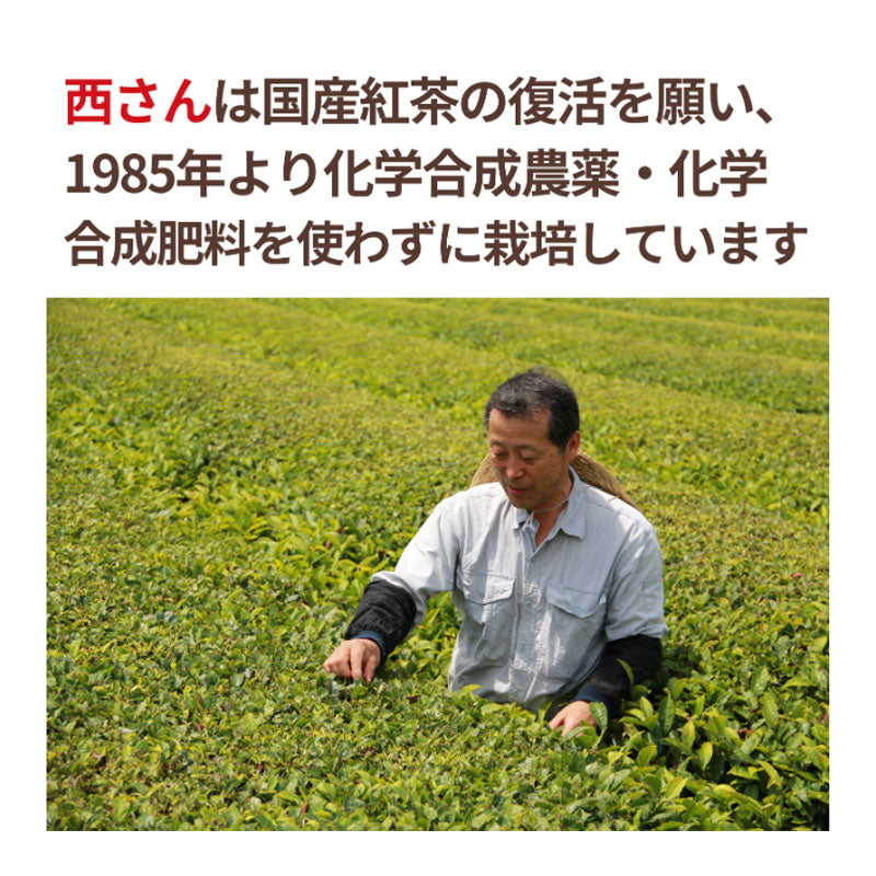 【冬季限定】NH西さんのしょうが紅茶(ティーバッグ)