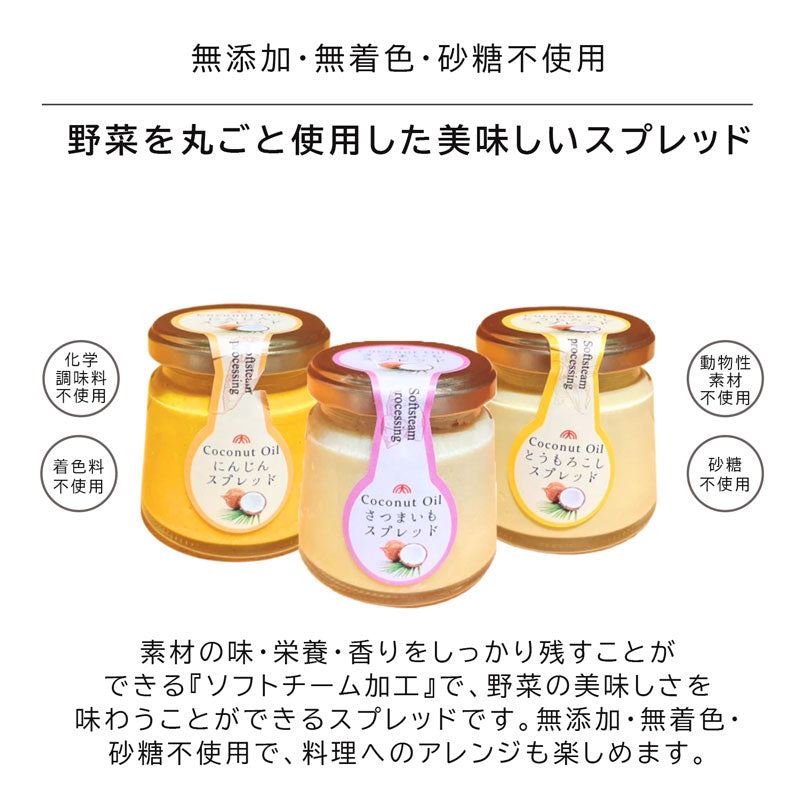 ベビーぱくぱく期(1歳半)セット