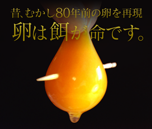 【冷蔵】カンナンファーム丹波奥郷の卵やまぶき6個(火のみ入荷)