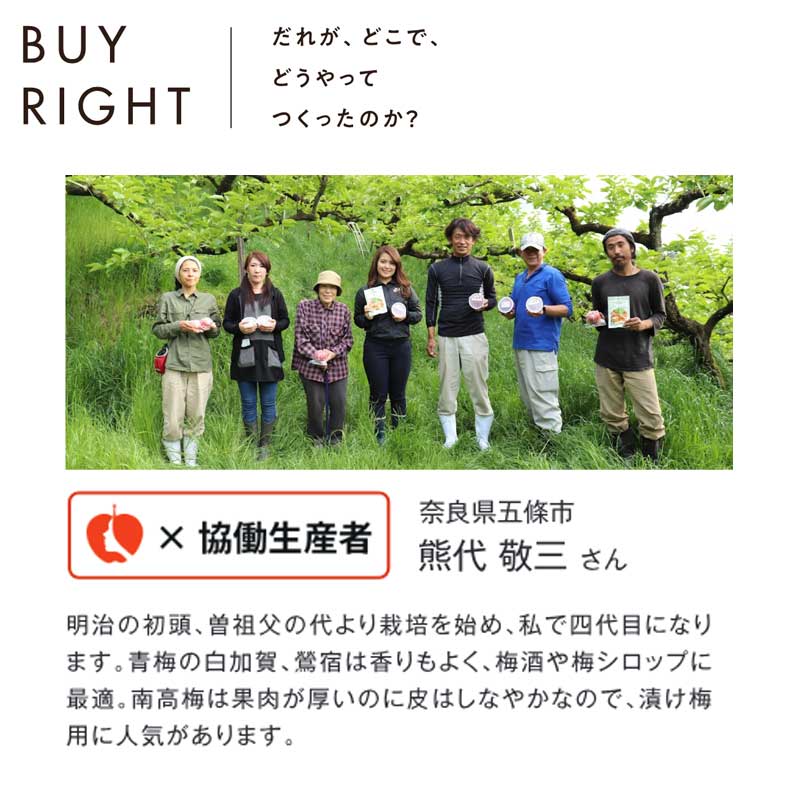 【受付締切 5/20まで】果実たっぷりでやわらか、有機 南高梅(梅干用)2㎏(B-2)
