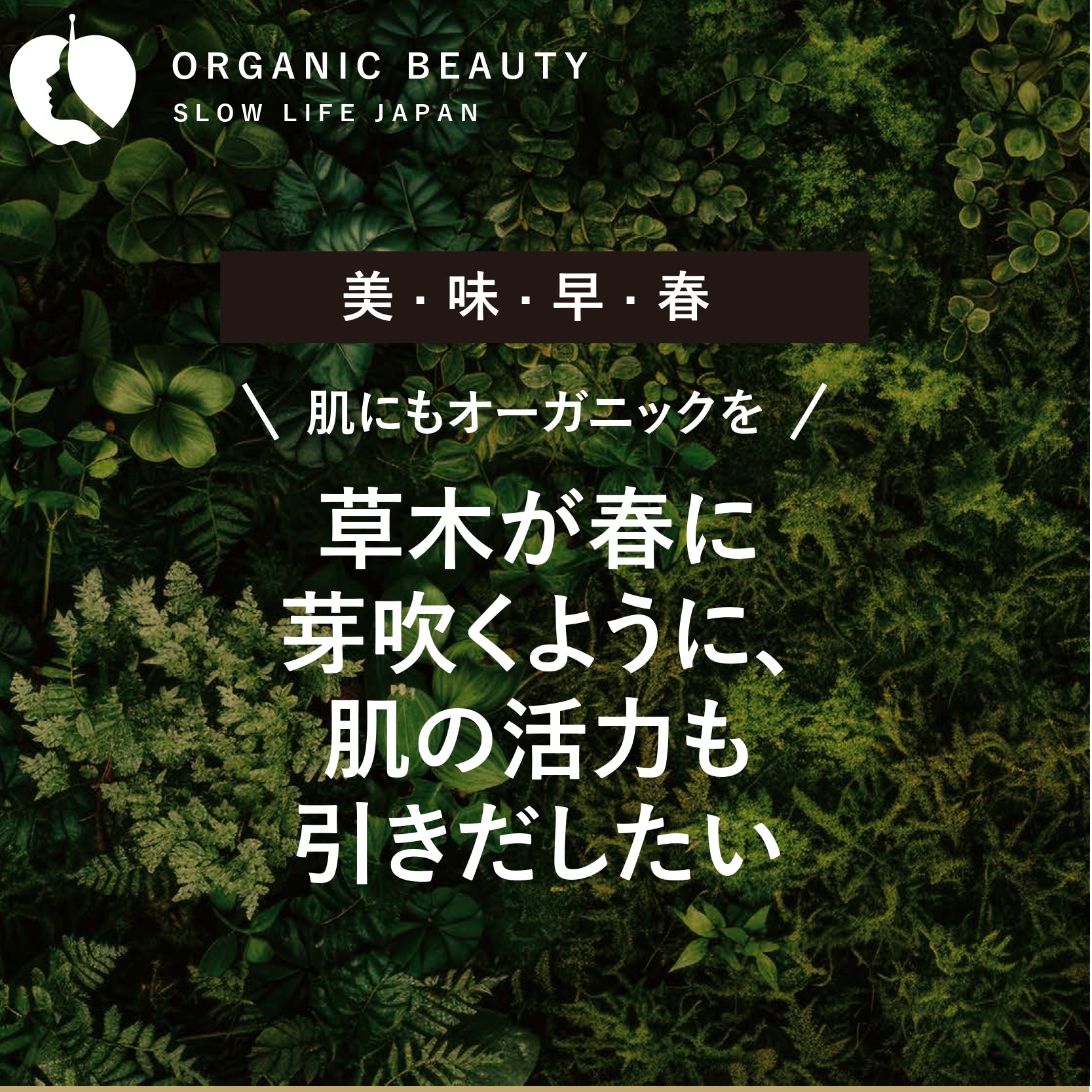 今週のおすすめ 草木が春に芽吹くように、肌の活力も引きだしたい