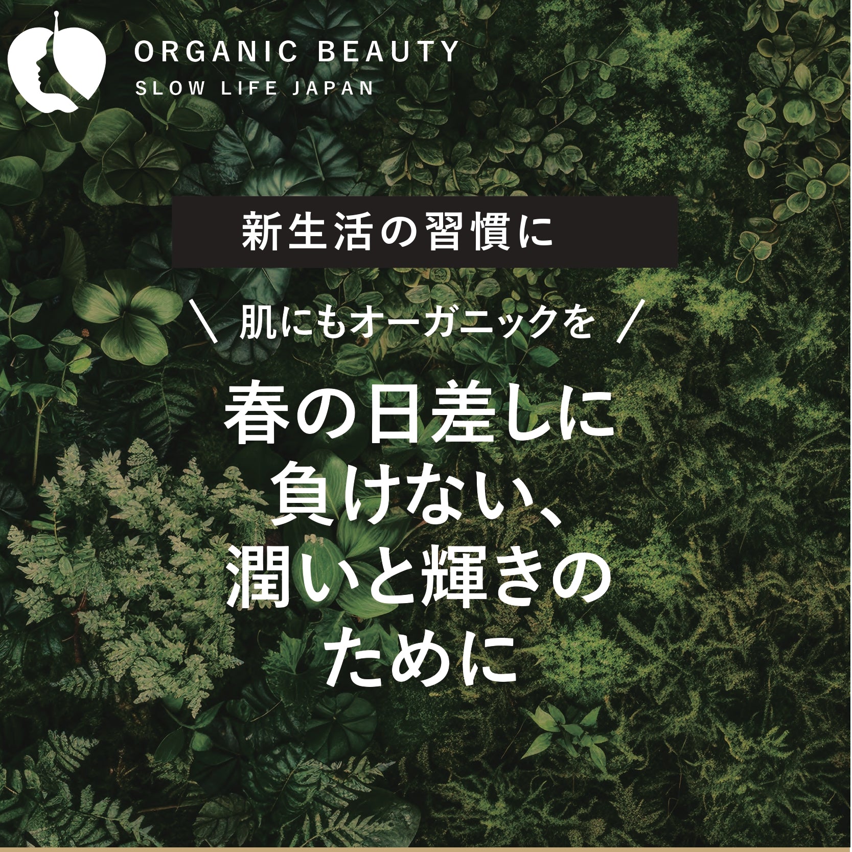 春の日差しに負けない、潤いと輝きのために