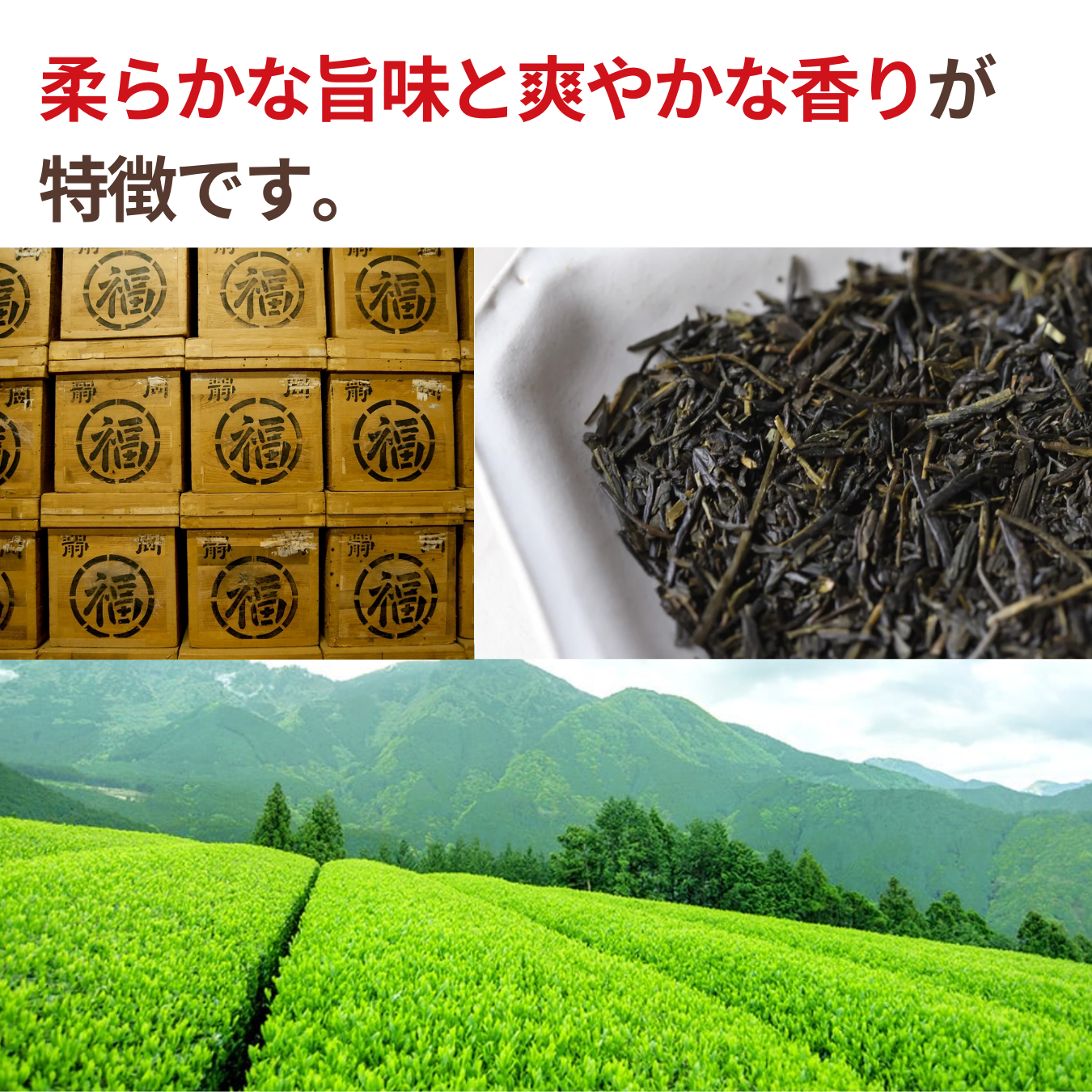 NH Organic Sencha Tenkaichi