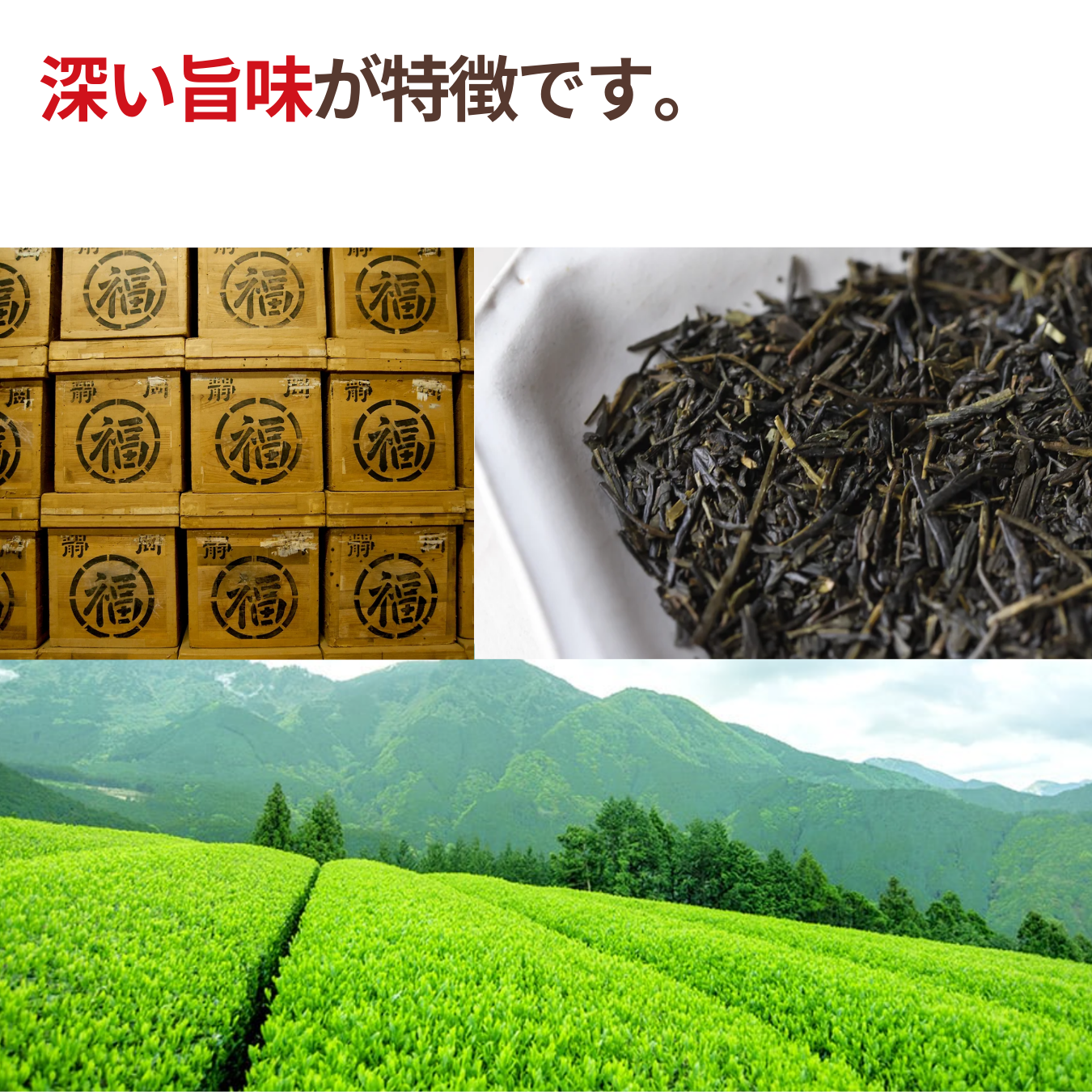 NH Organic Sencha