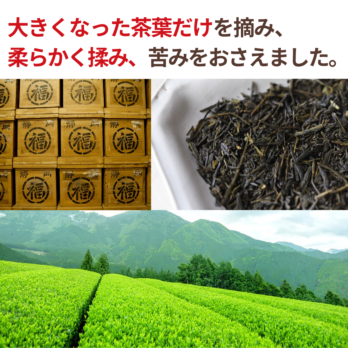 NH Domestic Organic Bancha 