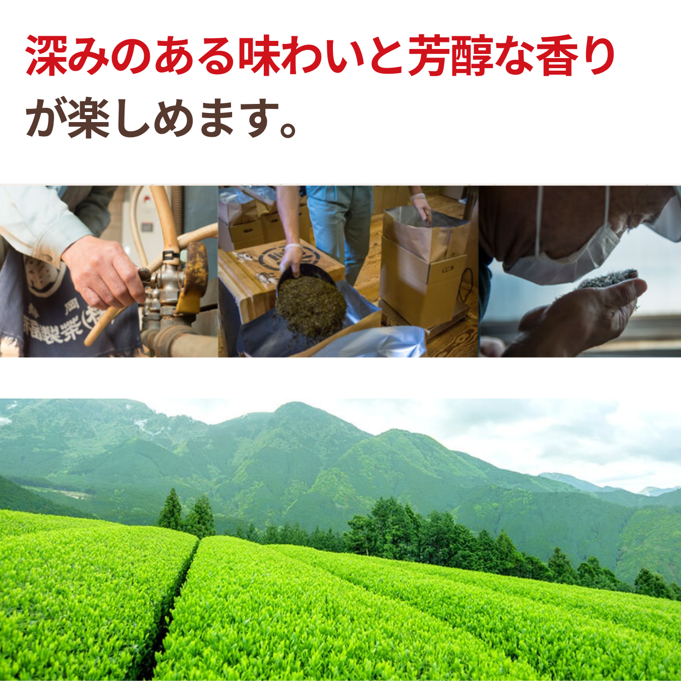 NH Organic Brown Rice Tea with Matcha 