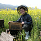 A set of three bottles of Japanese honey from local beekeeper Kondo (22001) 
