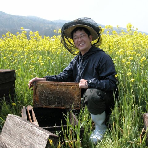 A set of three bottles of Japanese honey from local beekeeper Kondo (22001) 