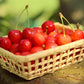 [Deadline until 6/30 (Sun)] [Refrigerated] Limited to 30 pieces, Aomori Prefecture, Hirai-san's Cherries (68001) 