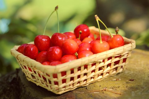 [Deadline until 6/30 (Sun)] [Refrigerated] Limited to 30 pieces, Aomori Prefecture, Hirai-san's Cherries (68001) 