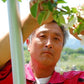 [Deadline until 6/30 (Sun)] [Refrigerated] Limited to 30 pieces, Aomori Prefecture, Hirai-san's Cherries (68001) 