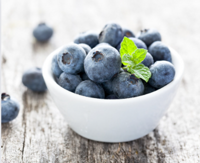 有機ブルーベリー