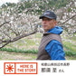 20 organic Nanko umeboshi plums (39002) from Nasu, Wakayama Prefecture 