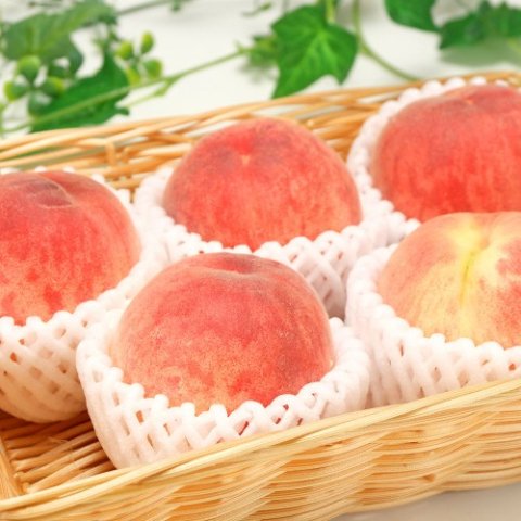 【締切 8/10（土）まで】山梨県産・古屋さんの桃2kg（40001）