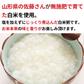 NH Sato's Koshihikari rice porridge 