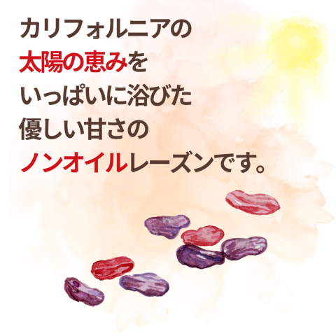 NH Organic Raisins 