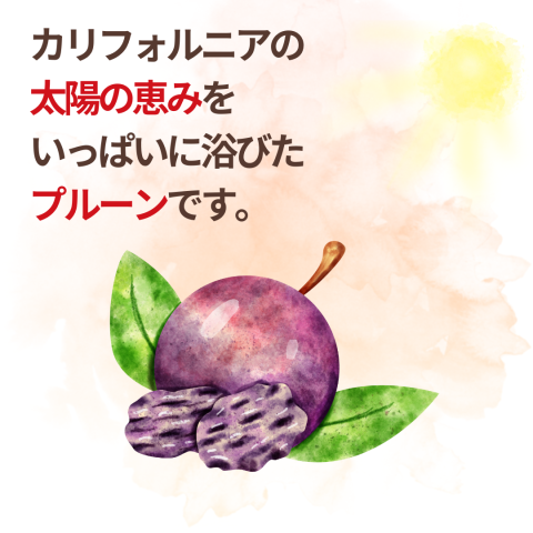 NH Organic Prunes (Seedless) 