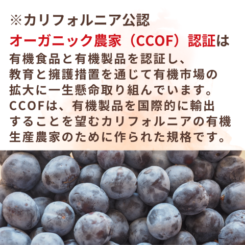 NH Organic Prunes (Seedless) 