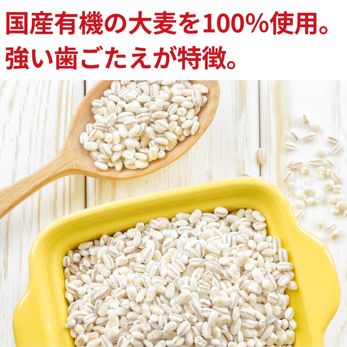 NH Organic Whole Barley 