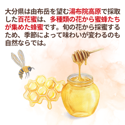 NH Flower Honey 500g 