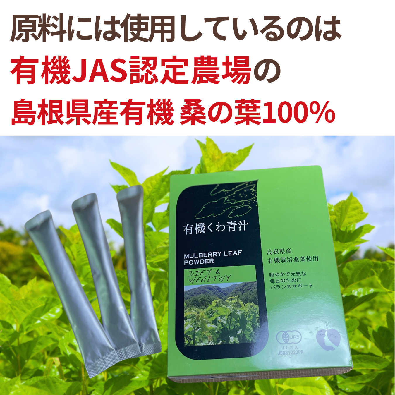 NH Organic Mulberry Green Juice 30 packets 