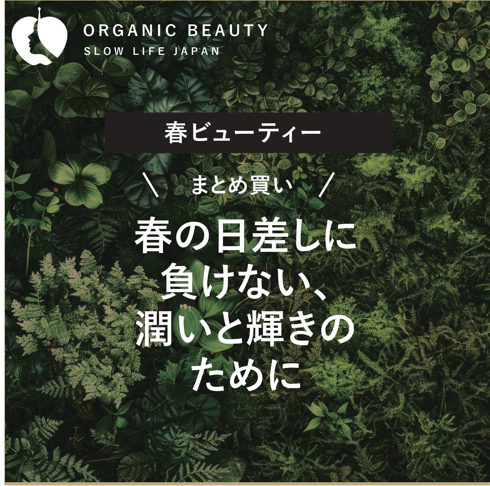 春ビューティー春の日差しに負けない潤いと輝きのために