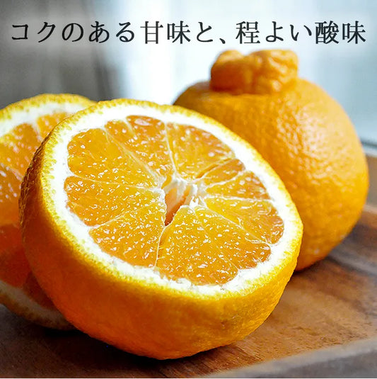 和歌山県グリーンジャンクション田村さん・不知火（デコポン）　２kg